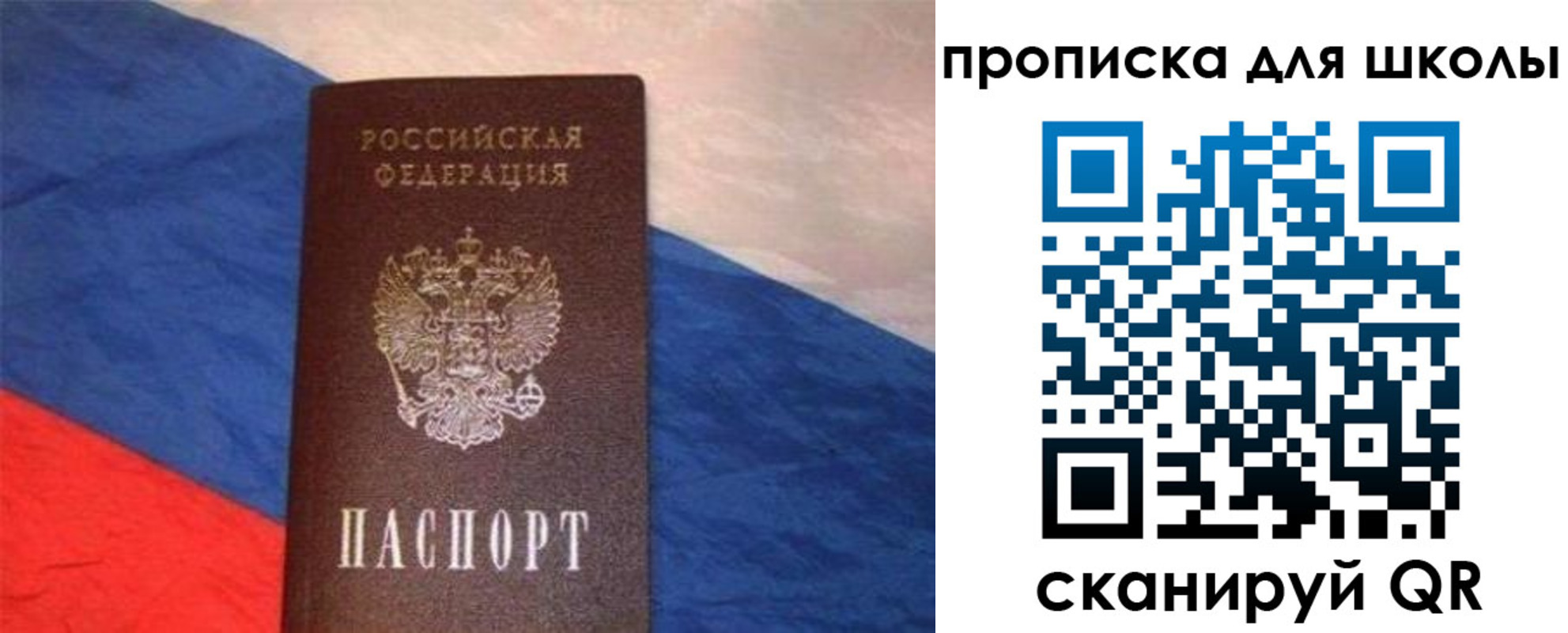 прописка поиск в Соколе